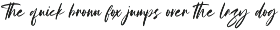 Casanty Signature Brush Font preview