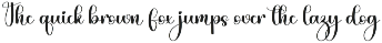 Anibody preview