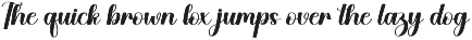 Amsterdam | Script Font preview