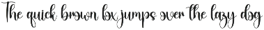 Sunlight | Script Font preview
