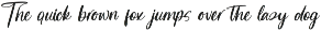 Delights Fruity Bold Brush Font preview