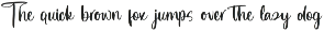 Delights Fruity Bold Brush Font font preview