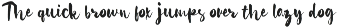 Roarety - Rough Script Font preview