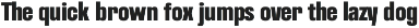 403 Vusion font preview