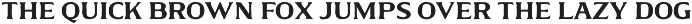 Arm & Gorine - Vintage Display Serif preview