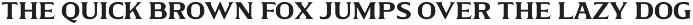 Arm & Gorine - Vintage Display Serif preview