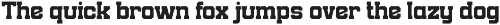 Runking - A Modern Sport Font preview