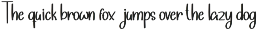 Stylish Signature preview