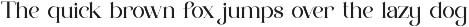Reafin || Modern Elegant Serif Font preview