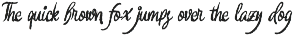 Salentina Rustic Script preview