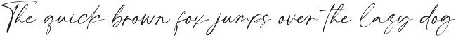 Cellanest - Modern Handwritten Font preview