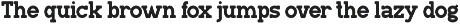 Manline Slabs - A Classic Slab Font preview