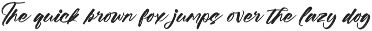 Beachit Bold Brush Font preview