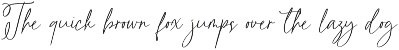 Rainylight - Handwriting Script preview