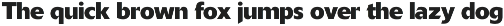 Xylara font-Regular-0106-25 preview