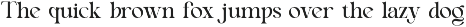 Beniga || Modern Elegant Serif Font preview