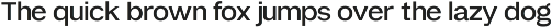 Hirashe - Modern Variable Fonts preview
