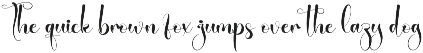 Designer | Script Font preview