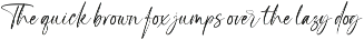 Highes Signature | Signature Font preview