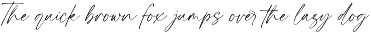Resonant Chilliner | Font Duo preview