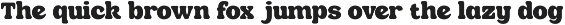 Roliana - Serif Retro Display Font preview