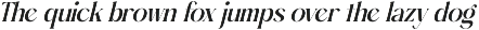 Gotten Summer Modern Serif Font preview