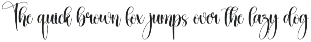 Holding | Script Font preview