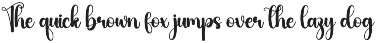 Vintage | Script Font preview