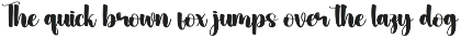 Montage | Script Font preview
