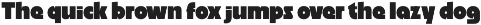 Plumpyra preview