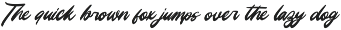 Unlatch Skater Bold Brush Font preview