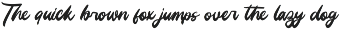 Unlatch Skater Bold Brush Font preview
