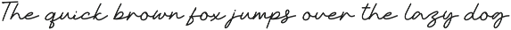 Celvia – Elegant Script & Sans Font preview
