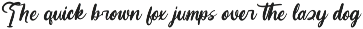 Earthy Nautical Bold Calligraphy preview