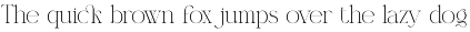 Megita Elegant Serif Font preview