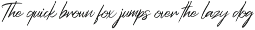 Bartha - Modern Brush Font preview
