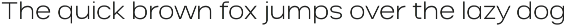 Salena – Minimalist Sans preview