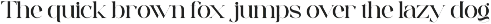 Egista - Modern Serif Font preview