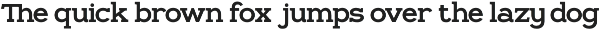 GC Regain - Display Bold Slab Serif preview