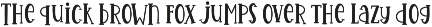Pinaples | Display Font font preview