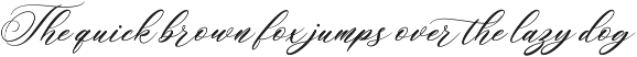 Romantic Rhapsody | Modern Calligrap preview