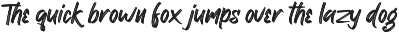 Ronxetta | Brush Font preview