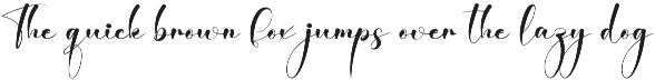 Angelina Decoration | Script Font preview