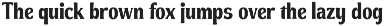 Marseille - Serif Font preview