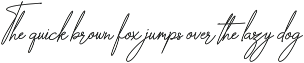 The Wallstreet - Signature Font preview
