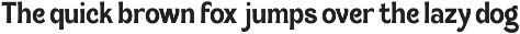 Magnes - A Display Serif Font preview