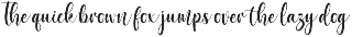 Sunkist Splash | Bouncy Script preview