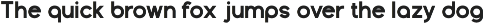 Fox Riding : 5 Font Styles preview