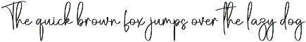 Stories House | Script Font preview
