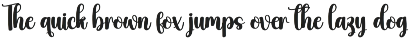 Shine | Script Font preview